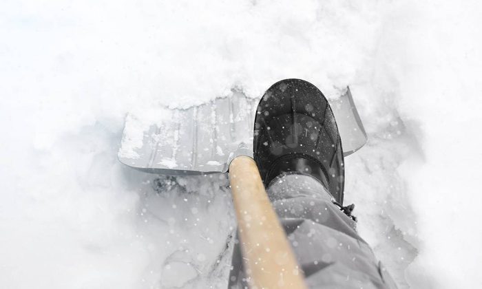 Čizme za snijeg SLIP-ON 41-46 NEO 82-138 - Slika 7