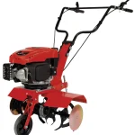 EINHELL Motorna kopačica GC-MT 2560 LD