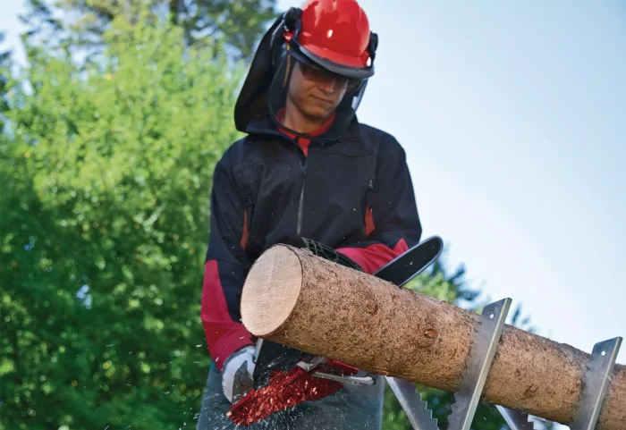 EINHELL Motorna lančana pila GC-PC 1335/1 I - Slika 2