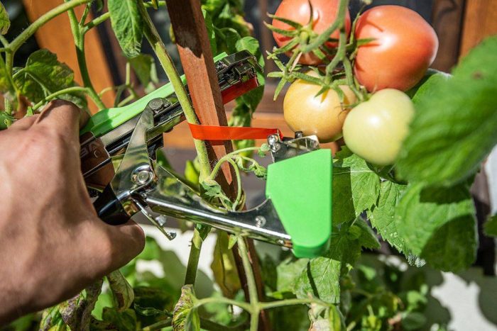 Uređaj za vezanje biljaka 15G455 VERTO - Slika 2