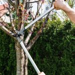 Vrtne škare 765 mm NEO 15-252 - Slika 4