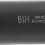 Bit | dužina 100 mm | vanjski šesterokutni pogon 22 mm | unutarnji šesterokut 19 mm