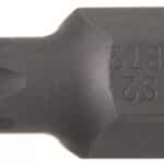 Bit | dužina 30 mm | vanjski šesterokutni pogon 10 mm (3/8") | T-profil (za Torx) T40