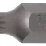 Bit | dužina 30 mm | vanjski šesterokutni pogon 10 mm (3/8") | unutarnje ozubljenje (za XZN) M6