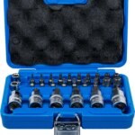 Set bitova i umetaka za bitove | 12