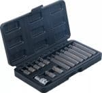 Set bitova | vanjski šesterokutni pogon 10 mm (3/8") | T-profil (za Torx) | 15-dijelni - Slika 2