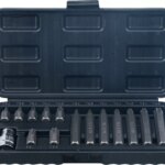 Set bitova | vanjski šesterokutni pogon 10 mm (3/8") | T-profil (za Torx) | 15-dijelni
