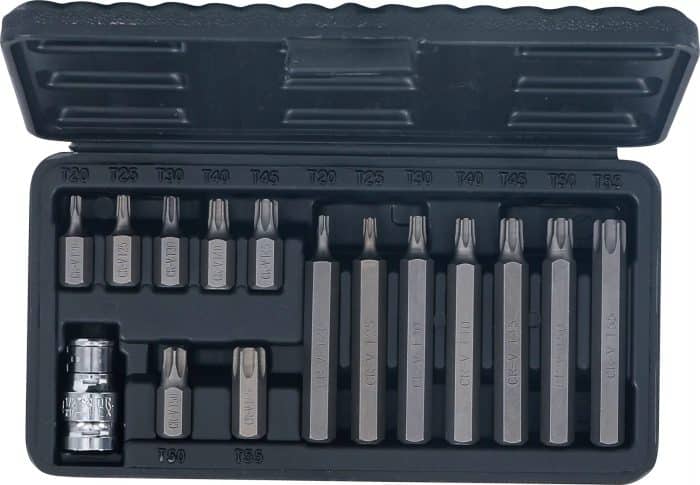 Set bitova | vanjski šesterokutni pogon 10 mm (3/8") | T-profil (za Torx) | 15-dijelni - Slika 4