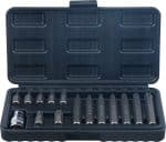 Set bitova | vanjski šesterokutni pogon 10 mm (3/8") | T-profil (za Torx) | 15-dijelni