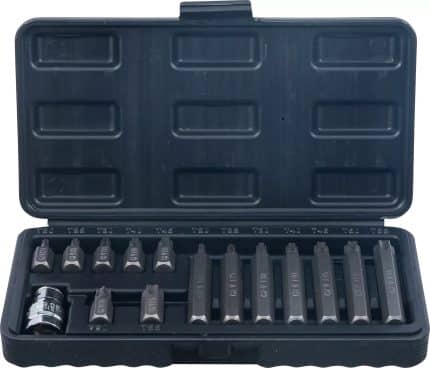 Set bitova | vanjski šesterokutni pogon 10 mm (3/8") | T-profil (za Torx) | 15-dijelni