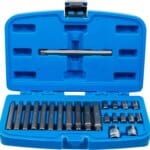 Set bitova | vanjski šesterokutni pogon 10 mm (3/8") | klinasti profil (za RIBE) | 22-dijelni