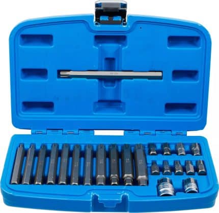 Set bitova | vanjski šesterokutni pogon 10 mm (3/8") | klinasti profil (za RIBE) | 22-dijelni