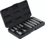Set bitova | vanjski šesterokutni pogon 10 mm (3/8") | unutarnje ozubljenje (za XZN) | 11-dijelni - Slika 2