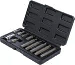 Set bitova | vanjski šesterokutni pogon 10 mm (3/8") | unutarnje ozubljenje (za XZN) | 11-dijelni - Slika 3