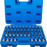 Set umetaka bitova | 12