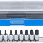 Set umetaka bitova | 6