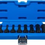 Set umetaka za teretne bitove | 12