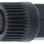 Umetak za bit za alternator | 12