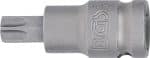 5 mm (1/2") | T-profil (za Torx) T55