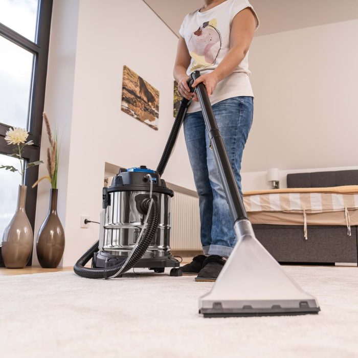 SCHEPPACH Usisivač za dubinsko čišćenje SprayVac20 - Slika 4