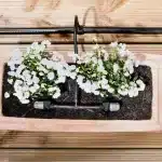 KARCHER Komplet za navodnjavanje saksijskog bilja - Slika 4