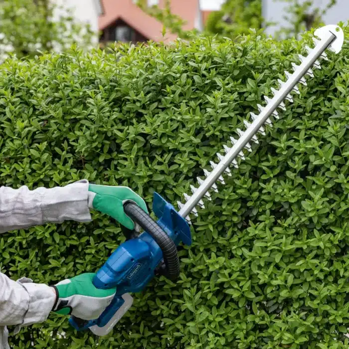 SCHEPPACH Aku škare za živicu IXES C-HT570-X – Solo - Slika 2