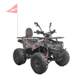 Benzinski QUAD (buggy) 6kW HECHT 56130 Huron