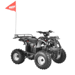 Električni QUAD (buggy) HECHT 56150 Huron - Slika 2