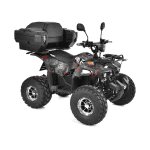 Električni QUAD (buggy) s cestovnom dozvolom HECHT 56199 Huron