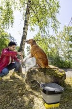 Mobilni baterijski perač OC 3 foldable - Slika 7